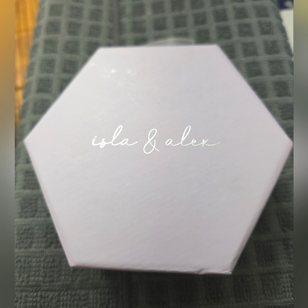 NWT Isla & Alex 3pcs Plating fine silver plated layered necklace set.